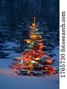 árvore natal, em, a, noturna