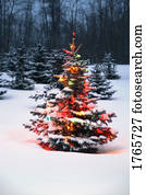 árvore natal, em, floresta, em, inverno