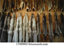 Animal furs