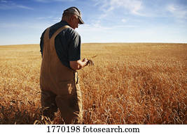 agricultor, em, campo
