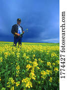 agricultor, inspeccionando, a, colheita