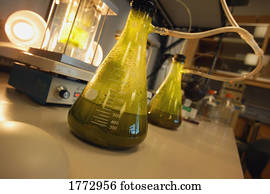 An on-going experiment