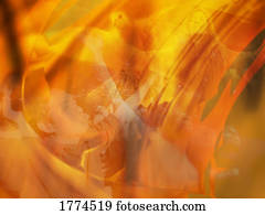 Dove, people worshiping