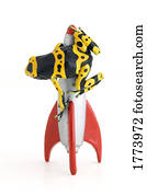 Frog and toy rocket