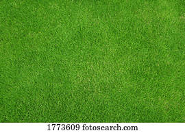 Green grass