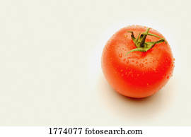 Shiny red tomato