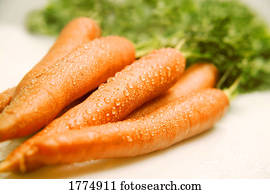 grupo, fresco, cenouras