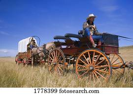 Cowboys driving their Wagons