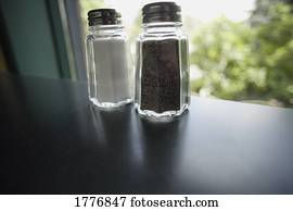 Salt and Pepper Shakers