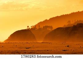 pássaros, ligado, água, em, pôr do sol