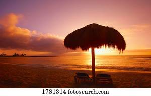 um, paraíso tropical