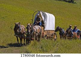 Wagon Train