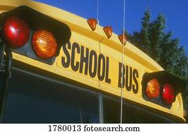 Yellow school bus