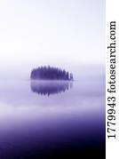 árvores, através, um, pacata, lago