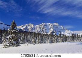 Bow Summit, Banff National Park