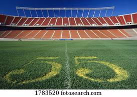 Centre Line of Football Stadium