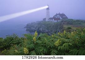 farol cabeça portland