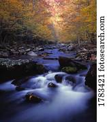 Little River cascades and autumn colors, Great Smoky Mountains National Park