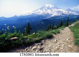 Pinnacle Peak Trail,Mount Rainier National Park