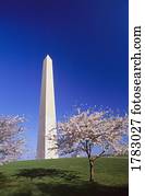 Washington Monument