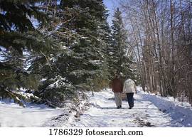 andar par ancião, em, inverno