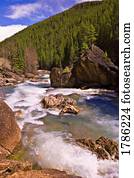 apressar-se, fluxo, em, a, selva