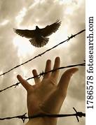 Hand reaching out for bird