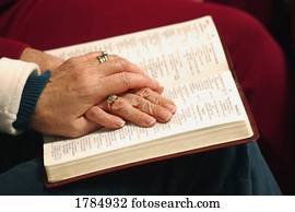 mulheres idosas, leitura, um, bíblia