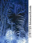 Frost pattern on window