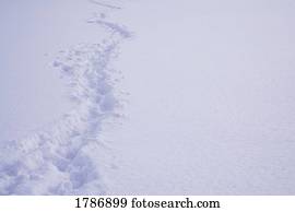 trilhas, em, a, neve