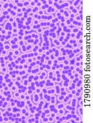 experiências texturas