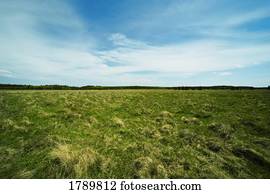 gramado, panorâmico