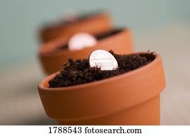 Growing your savings