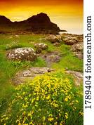 Landscape in Northern Ireland