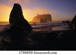 Olympic National Park