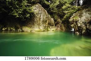 panorâmico, primavera, em, floresta amazônica