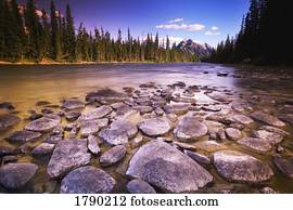 rochoso, riverbed, em, selva