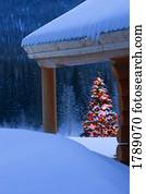 árvore natal, por, cabine registro