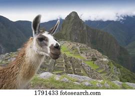 Incan ruins of Machu Picchu in Peru
