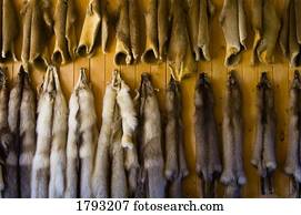 Animal pelts