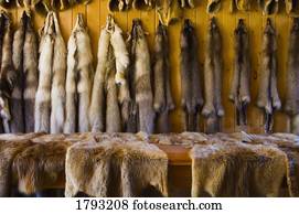 Animal pelts