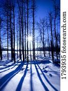 Elk Island National Park