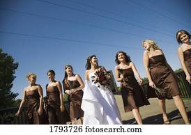 noiva, e, damas honra