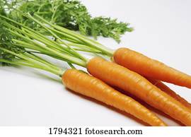 pacote, de, fresco, cenouras