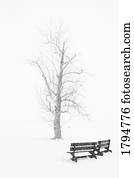 parque público, em, inverno