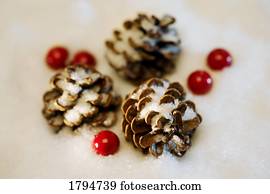 pinecones, e, bagas