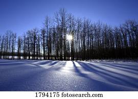 winter- szene winter- szene