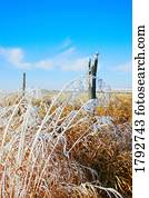 zaun, linie, in, dass, winterbilder zaun, linie, in, dass, winterbilder