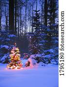 iluminado, árvore natal, em, floresta