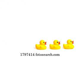 Three yellow rubber ducks in a row